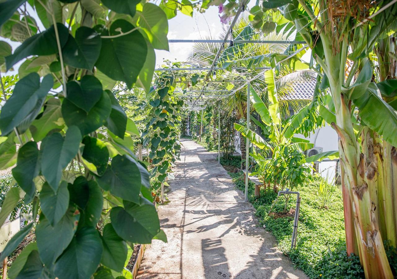 Lua Farmstay Ba Rịa Eksteriør billede